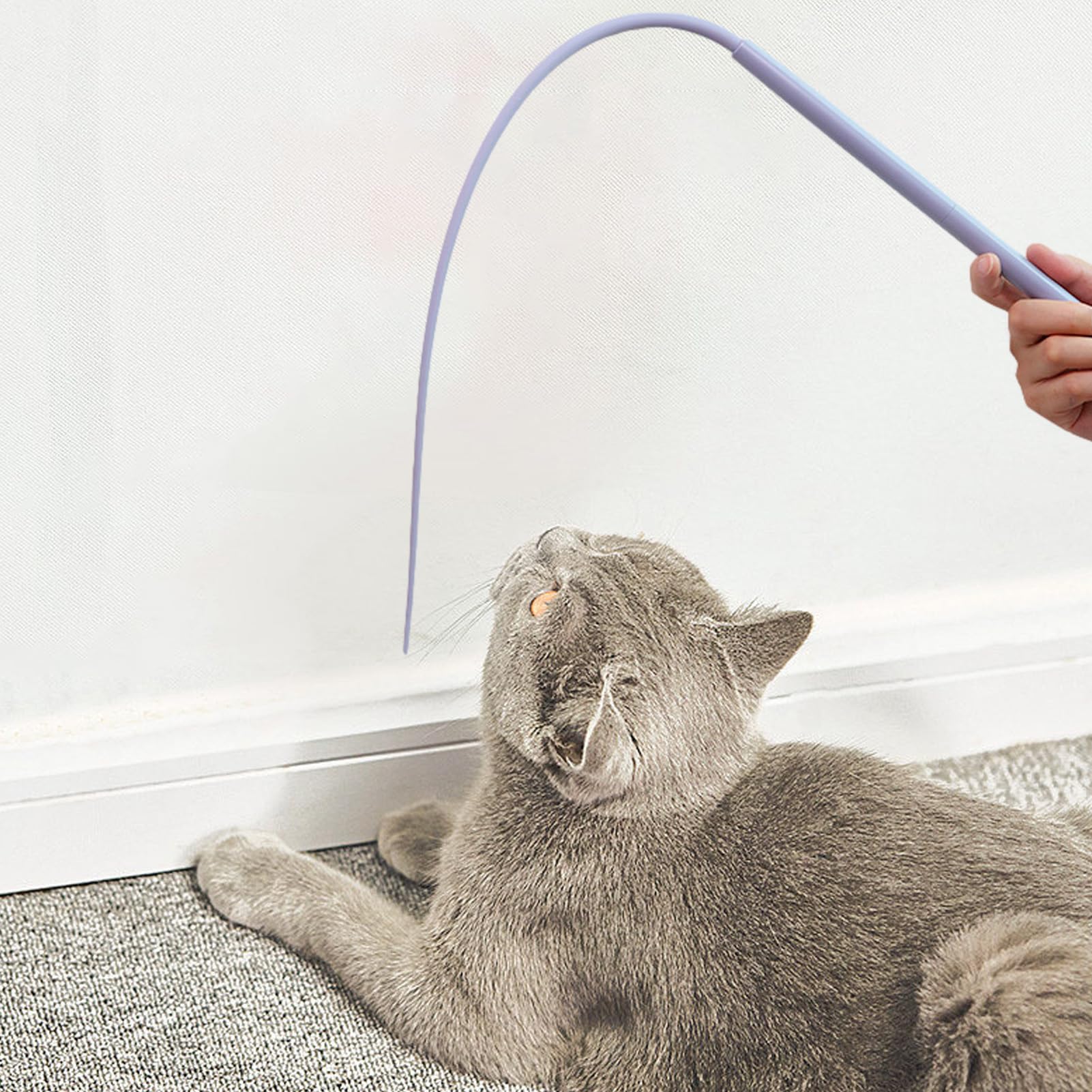 Amazon.co.jp: 猫 玩具 鼠の尻尾 シリコン、シリコン猫からかいポール